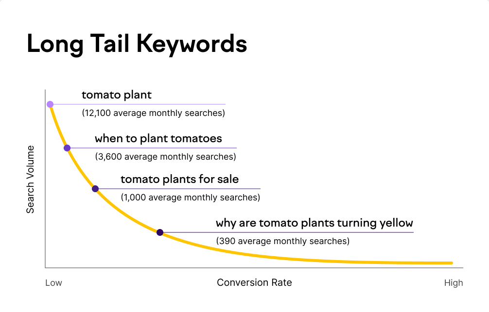 Unleashing the Power of Long-Tail Keywords: A Guide to Effective SEO